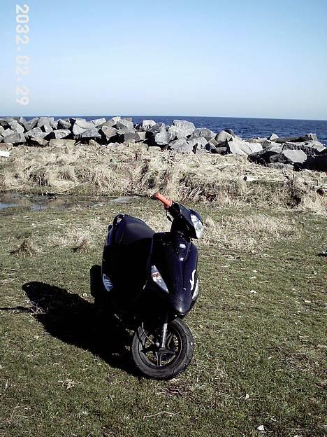 PGO   Black Magic billede 5