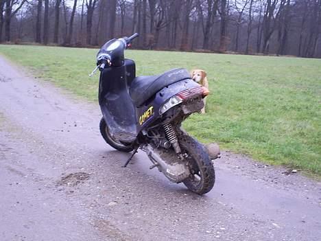 PGO comet SOLGT - Før billede 5