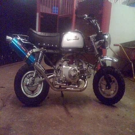 Skyteam gorilla total skadet :( billede 1