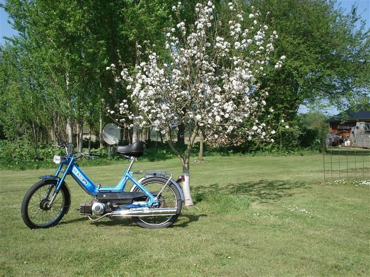 Puch Maxi k  (solgt for 3350) billede 1