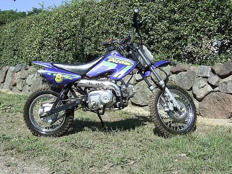 mini bike 110