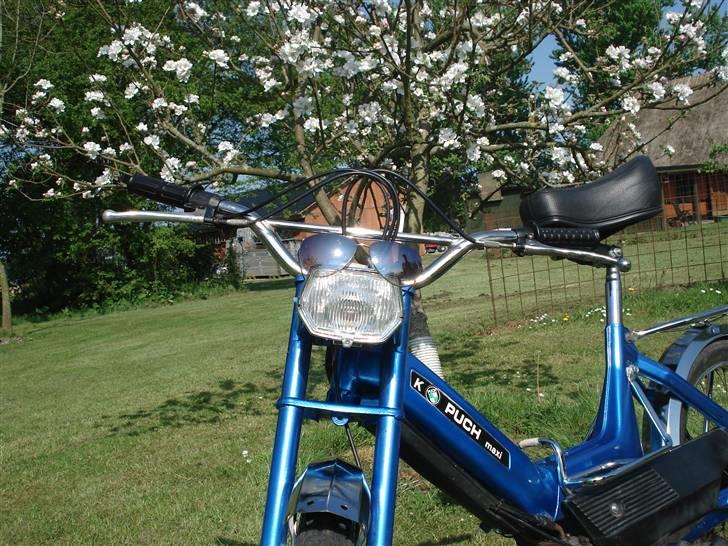 Puch Maxi k  (solgt for 3350) billede 3