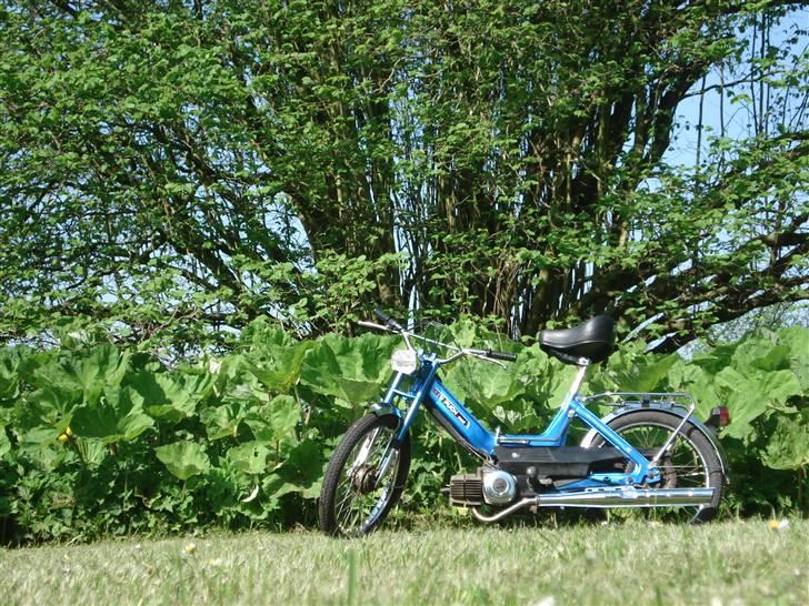 Puch Maxi k  (solgt for 3350) billede 7