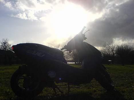 PGO DR. big (smadret) billede 3