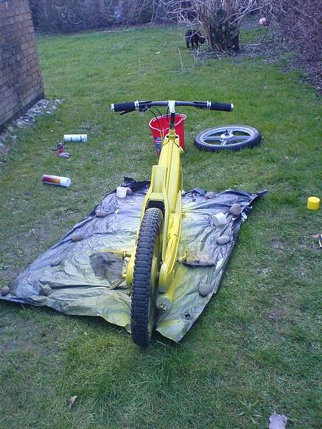 Vespa Caio billede 1