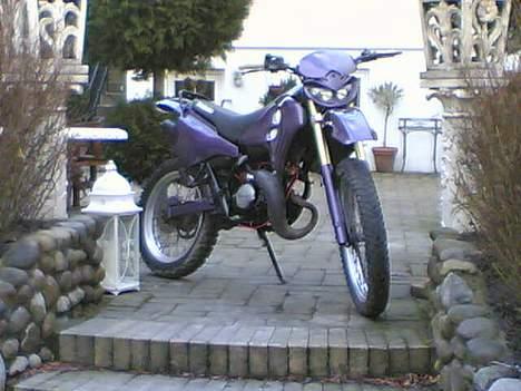 Suzuki rmx (byttet) - kongen billede 2