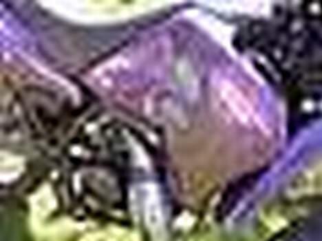 Suzuki rmx (byttet) - billeder fra i sommers billede 14