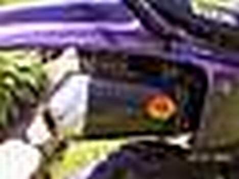 Suzuki rmx (byttet) - billeder fra i sommers billede 16