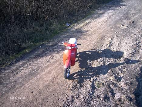 Honda Melody billede 8