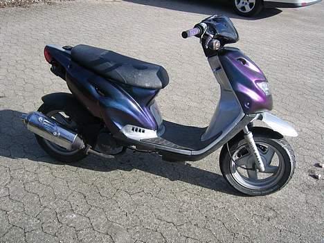 CPI Chameleonen billede 10