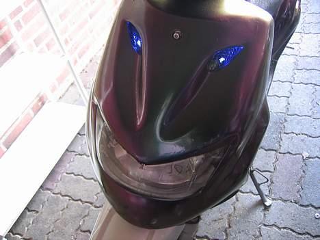 CPI Chameleonen billede 11