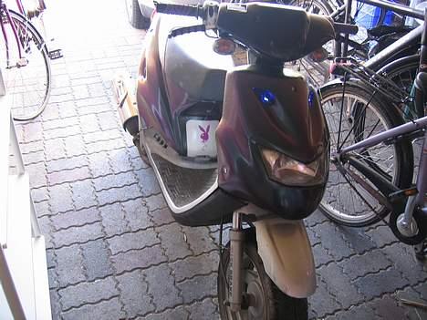 CPI Chameleonen billede 12