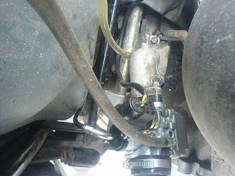 PGO hot 50 (solgt) billede 16