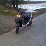 Siamoto FaLcOn solgt