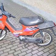 Honda Wallaroo      (byttet)