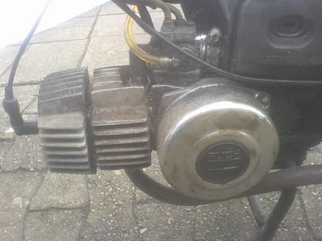 Puch Maxi K billede 5