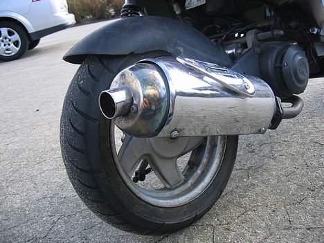 CPI Chameleonen billede 13