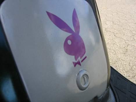 CPI Chameleonen billede 14