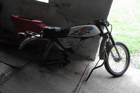 Puch pioneer billede 3