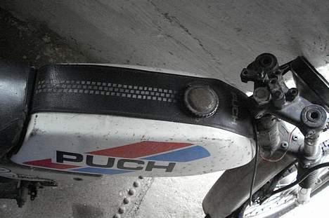 Puch pioneer billede 5