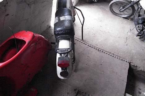 Puch pioneer billede 7