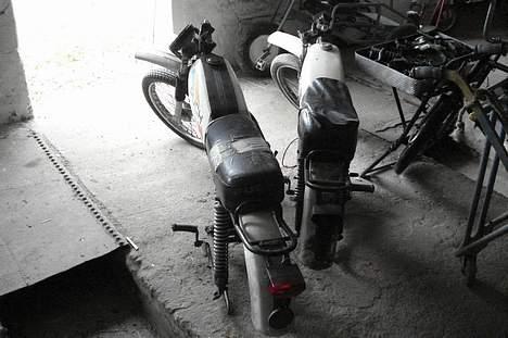 Puch pioneer billede 9