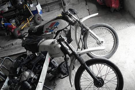 Puch pioneer billede 10