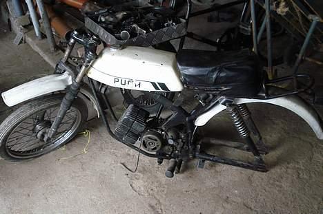 Puch pioneer billede 12