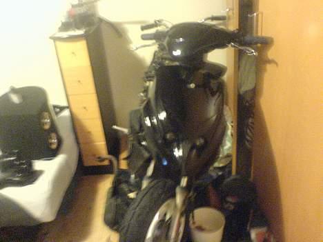 PGO Tornado solgt billede 19