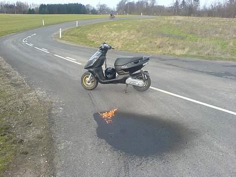 Aprilia sonic GP (SMADRET)solgt billede 10