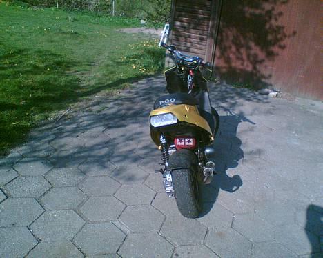 PGO hot 50.(BYTTET TIL JOG) - uhh det et dejligt luftfilter billede 12