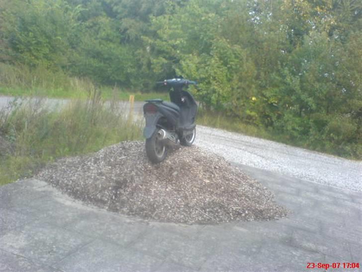 CPI Hussar solgt billede 5