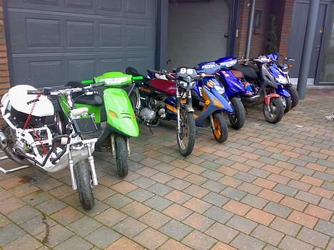 Adly arriva billede 4