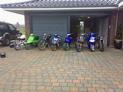 Adly arriva billede 5