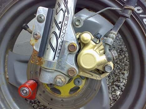 Adly arriva billede 8