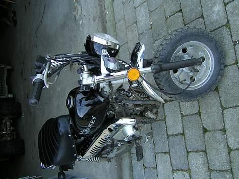 Skyteam Monkey Bike  billede 4