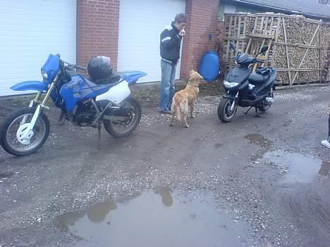 CPI Hussar solgt billede 11