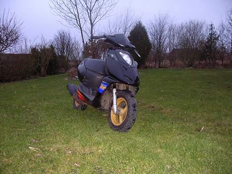 Aprilia Sonic Gp "Solgt" - Her er den, køn ? (: billede 1