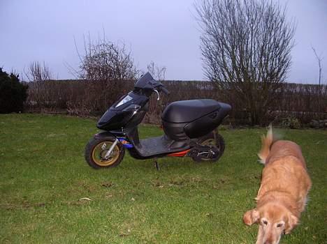 Aprilia Sonic Gp "Solgt" billede 3