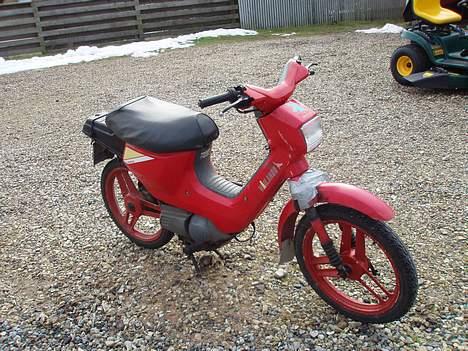 Honda wallaroo (Projekt) solgt. billede 1