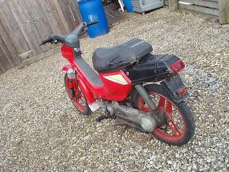 Honda wallaroo (Projekt) solgt. billede 4