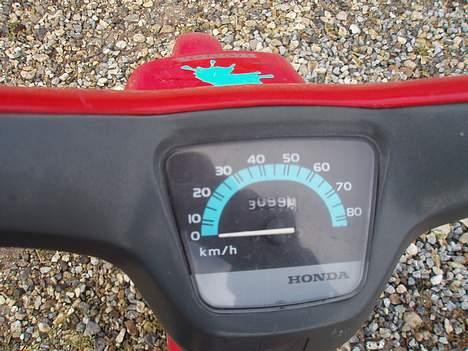 Honda wallaroo (Projekt) solgt. billede 6