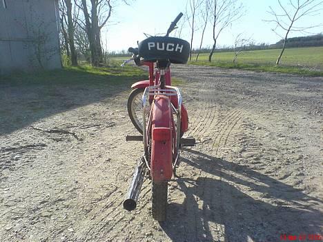 Puch maxi k-solgt billede 2