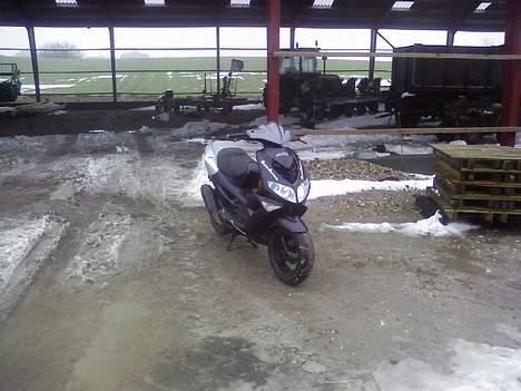 Peugeot Speedfight 2 (Solgt) billede 2