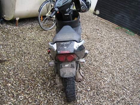 PGO Dr. Big  billede 3