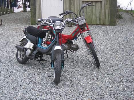 Puch maxi p1 - begge mine knallerter billede 10