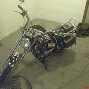 Regal Raptor (til salg)