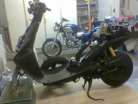 Honda Sfx - min scooter billede 2