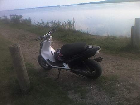 PGO hot 50 solgt billede 1