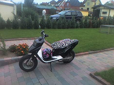 PGO hot 50 solgt billede 3